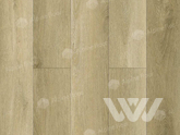 Фото №1 - Виниловая плитка SPC Alpine Floor INTENSE Тихий лес ЕСО 9-13