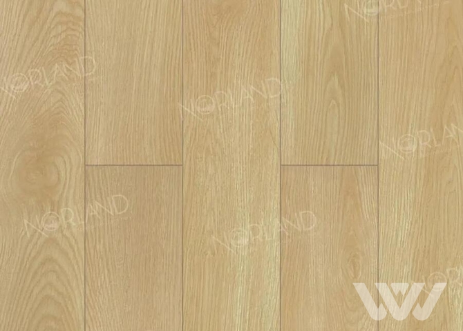 Фото №1 - Ламинат Norland Elegant LF301-04 Дуб Тасмания
