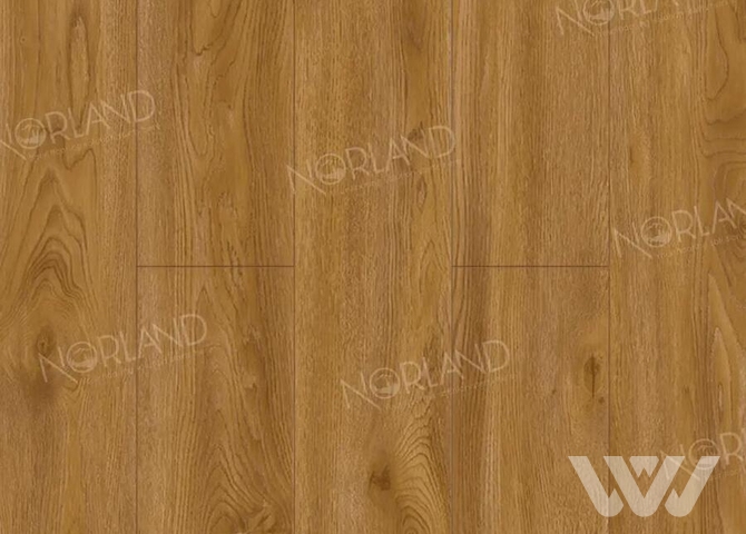 Фото №1 - Ламинат Norland Elegant LF301-10 Дуб Хонсю