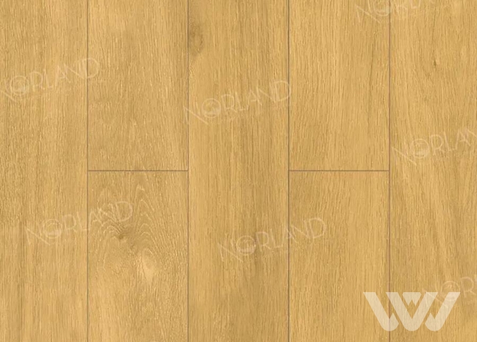 Фото №1 - Ламинат Norland Elegant LF301-12 Дуб Мальта