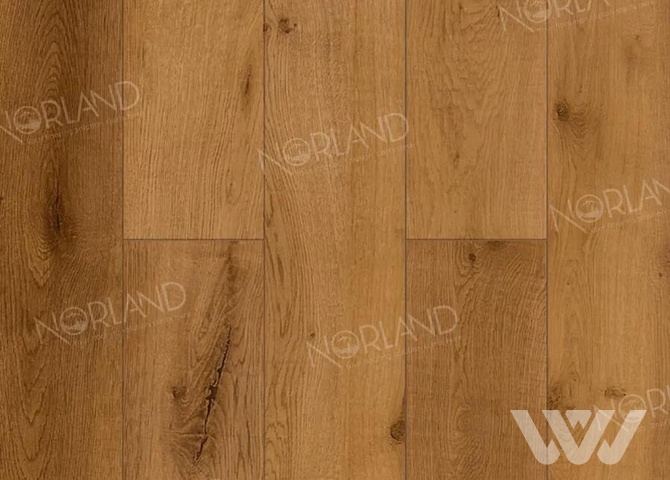 Фото №1 - Ламинат Norland Elegant LF301-13 Дуб Помона