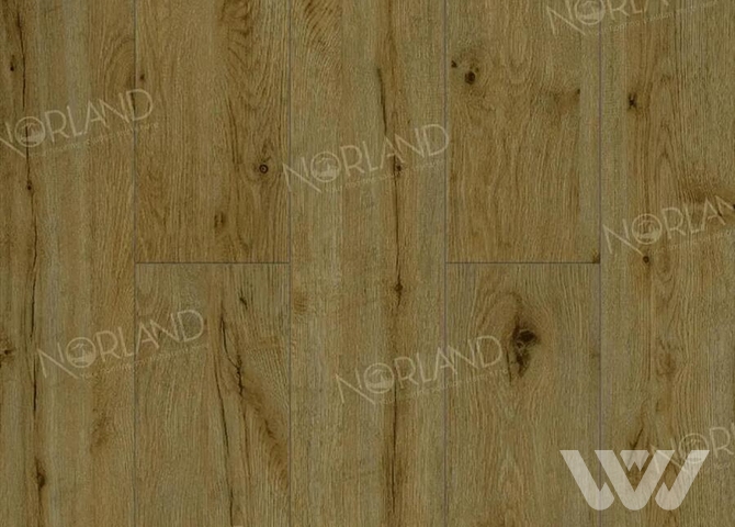 Фото №1 - Ламинат Norland Elegant LF301-14 Дуб Скай