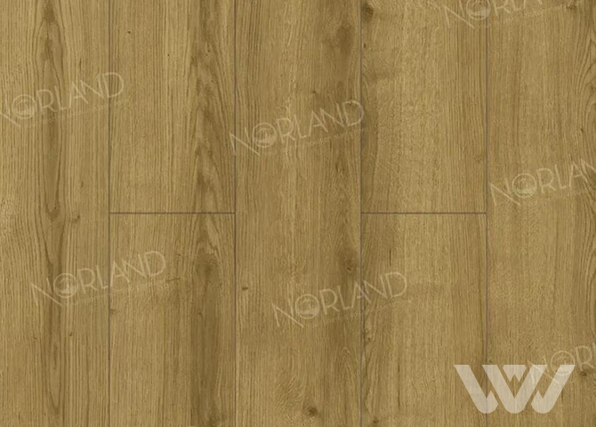 Фото №1 - Ламинат Norland Elegant LF301-17 Дуб Фанэн