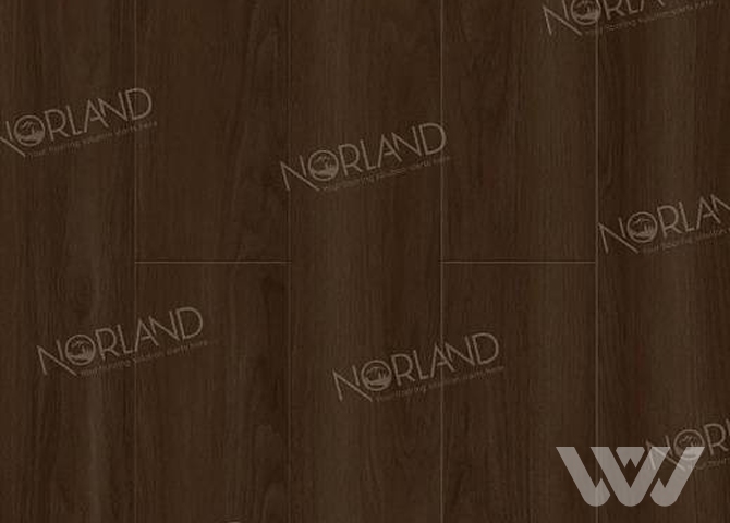 Фото №1 - Ламинат Norland Elegant LF301-22 Дуб Треско