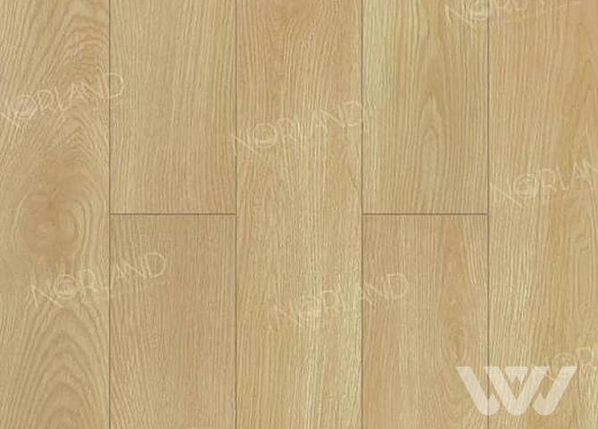 Фото №1 - Ламинат Norland Elegant Strong LF302-04 Дуб Тасмания