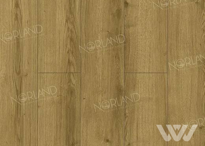 Фото №1 - Ламинат Norland Elegant Strong LF302-17 Дуб Фанэн