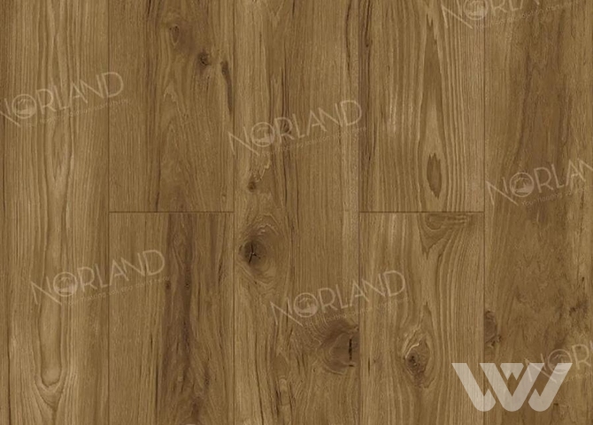 Фото №1 - Ламинат Norland Elegant Strong LF302-18 Дуб Корсика