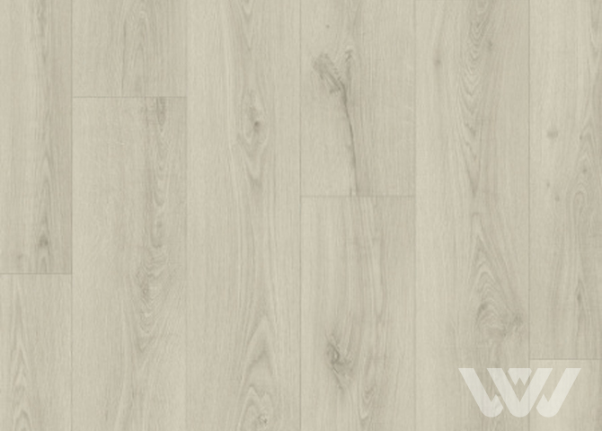 Фото №1 - Ламинат Quick Step Classic Plus Hydro (RUS) CLH 5786 Дуб пепельный серый