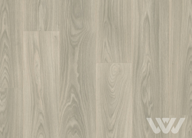 Фото №1 - Ламинат Quick Step Classic Plus Hydro (RUS) CLH 5814 Дуб серый тихоокеанский