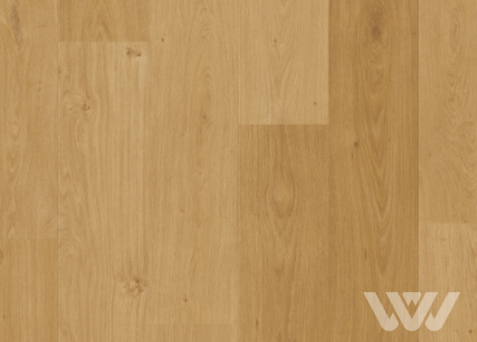 Фото №1 - ПВХ плитка QS Alpha Vinyl BLOS BASE планка AVSPT 40320 Дуб береговой медовый