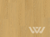 Фото №1 - ПВХ плитка QS Alpha Vinyl BLOOM планка AVMPU 40098 Дуб чистый медовый