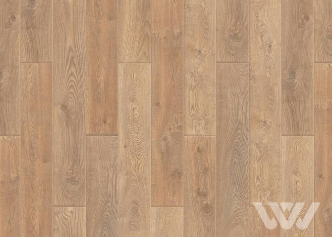 Фото №1 - Ламинат Tarkett NAVIGATOR Амундсен