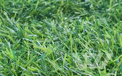 Искусственная трава Pretty Grass - 35 мм 