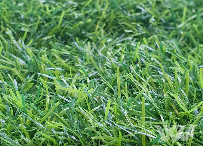 Фото №1 - Искусственная трава Pretty Grass - 35 мм 