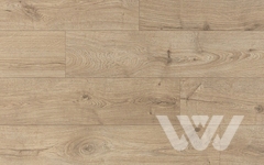 Ламинат Quick Step Creo Plus 32 V4 CRP 8583 Дуб Гамбо