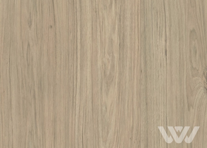 Фото №1 - Ламинат Kastamonu Wing FW003 HAWK