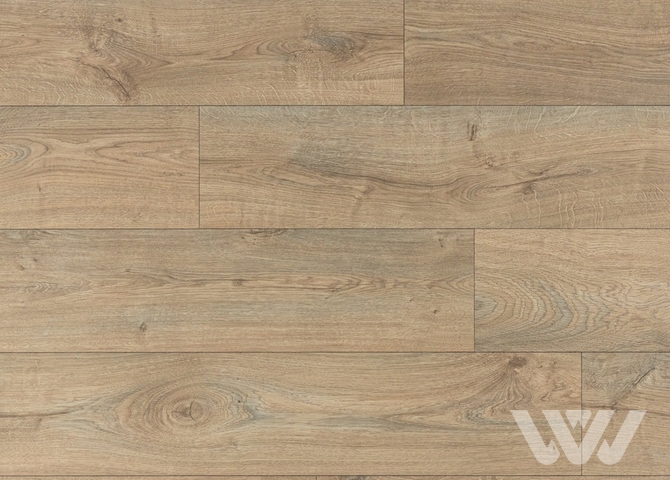 Фото №1 - Ламинат Quick Step Eligna Wide 8 33 V4 UWH 8636 Дуб хмелевой