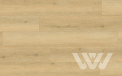 SPC ламинат Union Vida Дуб Прованс VI01-02