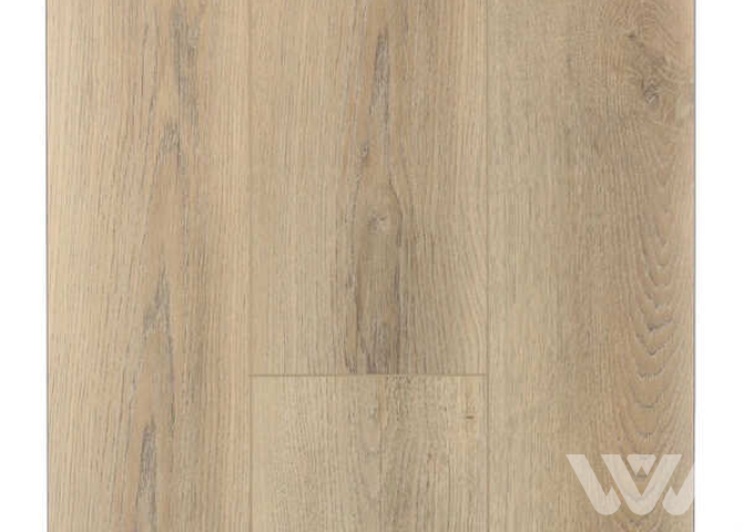 Фото №1 - SPC-ламинат Firstfloor Белый дикий лес 1F001