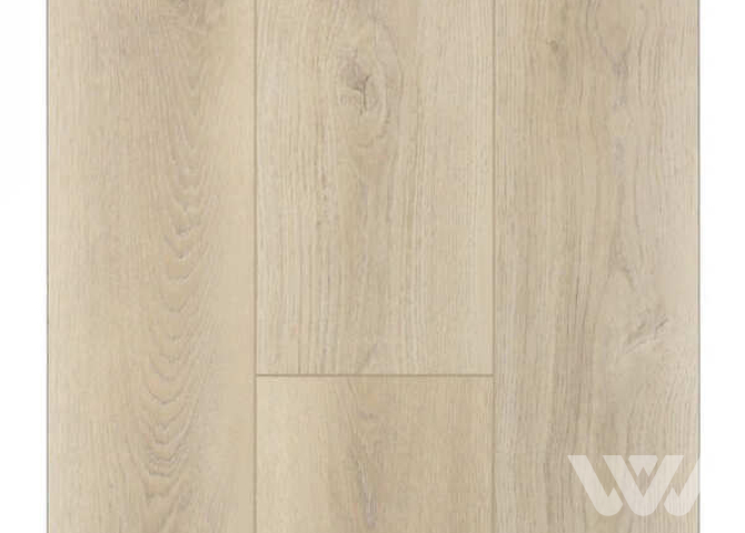 Фото №1 - SPC-ламинат Firstfloor Серый дикий лес 1F002