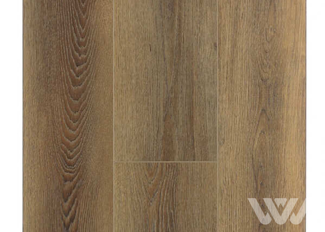 Фото №1 - SPC-ламинат Firstfloor Коричневый дикий лес 1F005