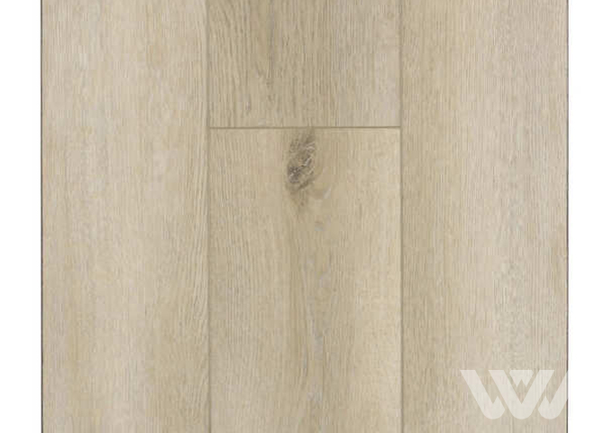 Фото №1 - SPC-ламинат Firstfloor Дымчатый старый дуб 1F011