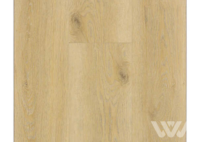 Фото №1 - SPC-ламинат Firstfloor Бежевый старый дуб 1F012