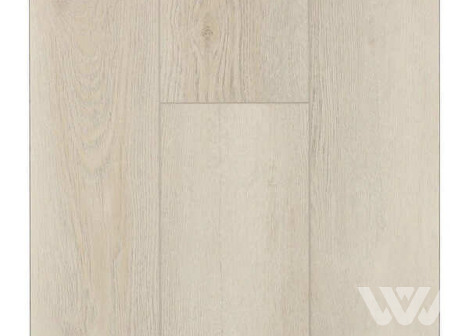 Фото №1 - SPC-ламинат Firstfloor Пепельный старый дуб 1F014