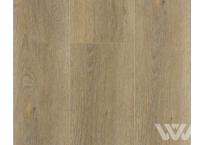 Фото №1 - SPC-ламинат Firstfloor Коньячный старый дуб 1F015