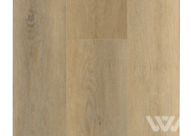 Фото №1 - SPC-ламинат Firstfloor Молочный дуб сканди 1F016