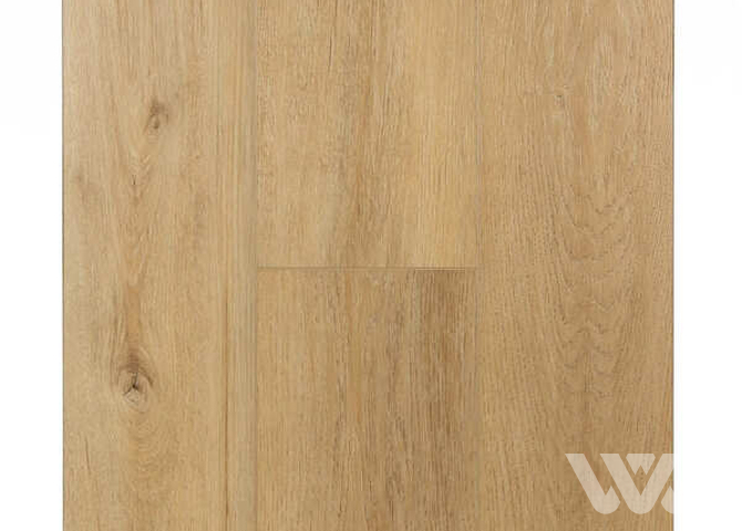 Фото №1 - SPC-ламинат Firstfloor Сканди дуб чайный 1F019