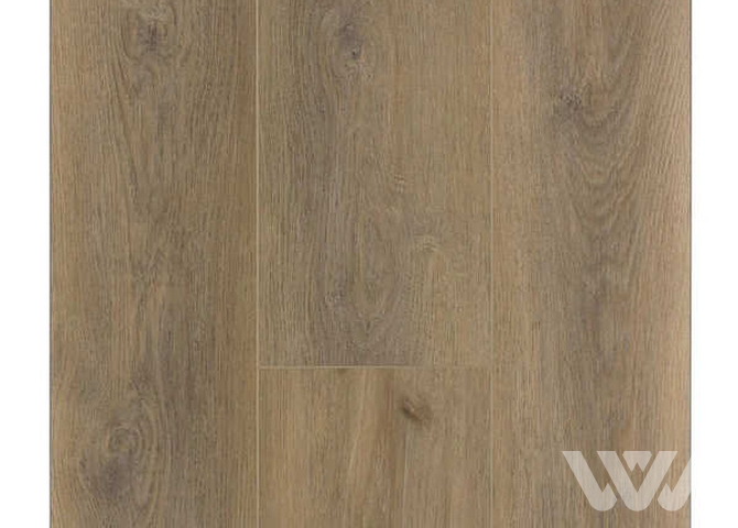 Фото №1 - SPC-ламинат Firstfloor Сканди дуб какао 1F020