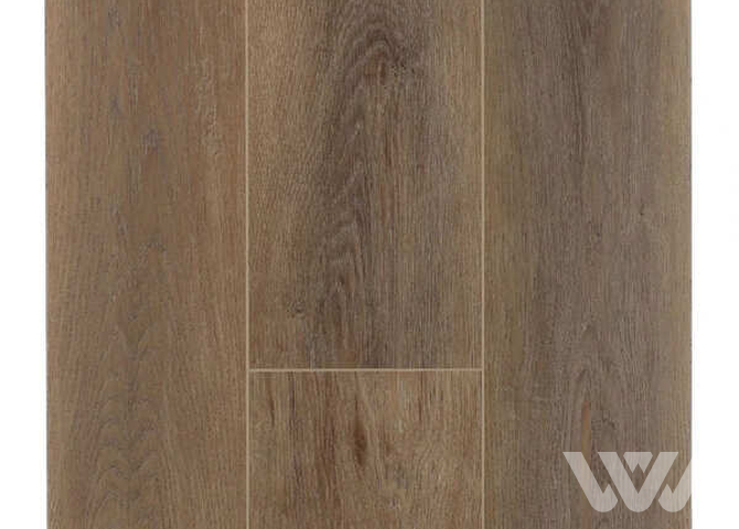 Фото №1 - SPC-ламинат Firstfloor Сканди дуб кофе 1F021