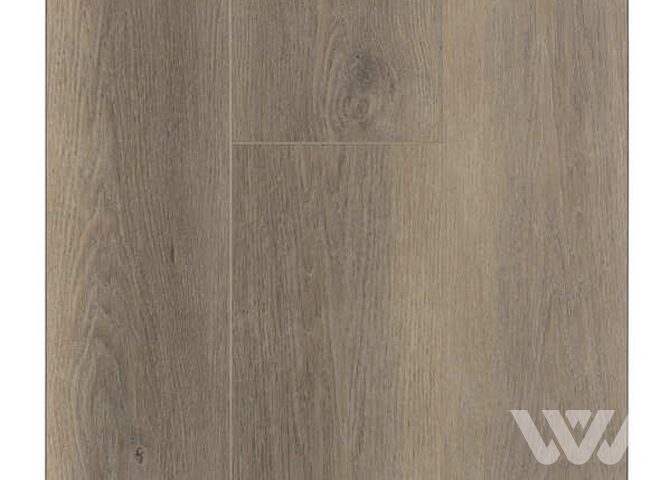 Фото №1 - SPC-ламинат Firstfloor Сканди дуб латте 1F022