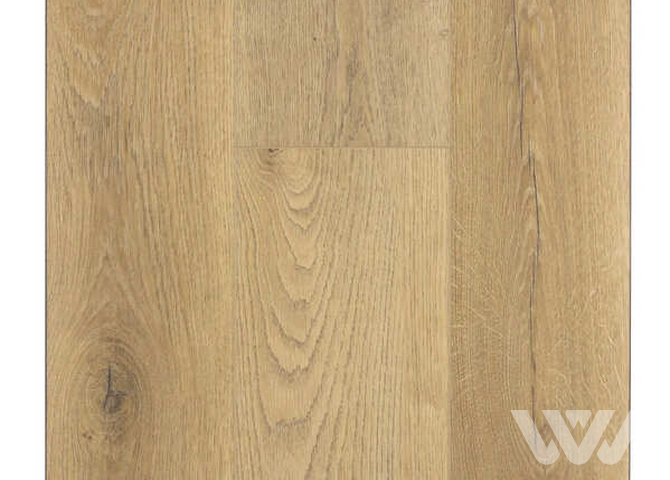 Фото №1 - SPC-ламинат Firstfloor Кавказский натуральный дуб 1F024