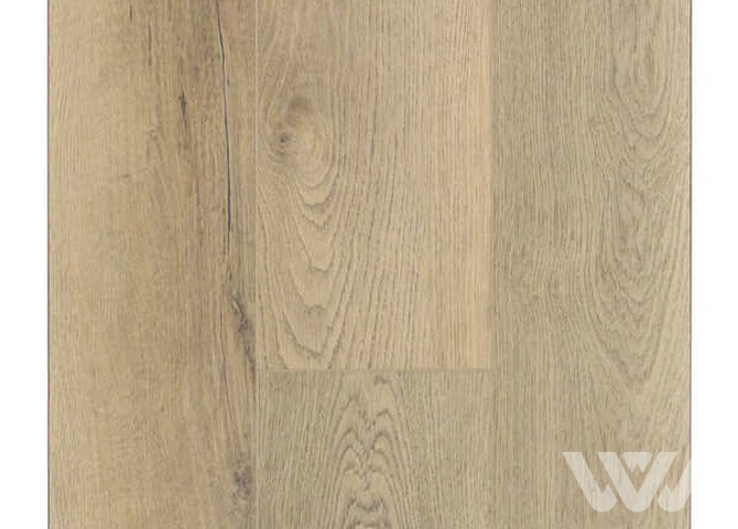 Фото №1 - SPC-ламинат Firstfloor Канадский натуральный дуб 1F025 