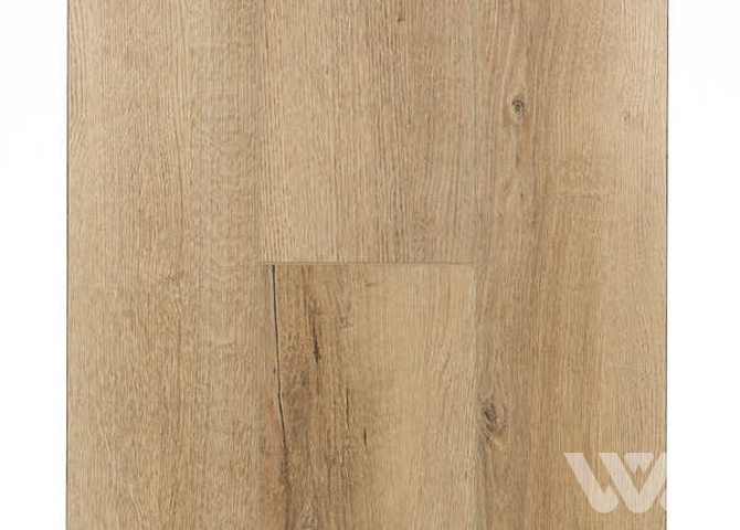 Фото №1 - SPC-ламинат Firstfloor Натуральный бразильский дуб 1F026