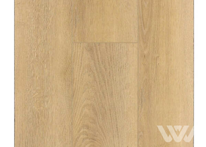 Фото №1 - SPC-ламинат Firstfloor Французский натуральный дуб 1F027