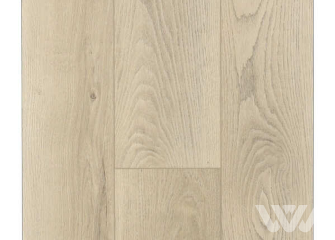 Фото №1 - SPC-ламинат Firstfloor Американский натуральный дуб 1F028