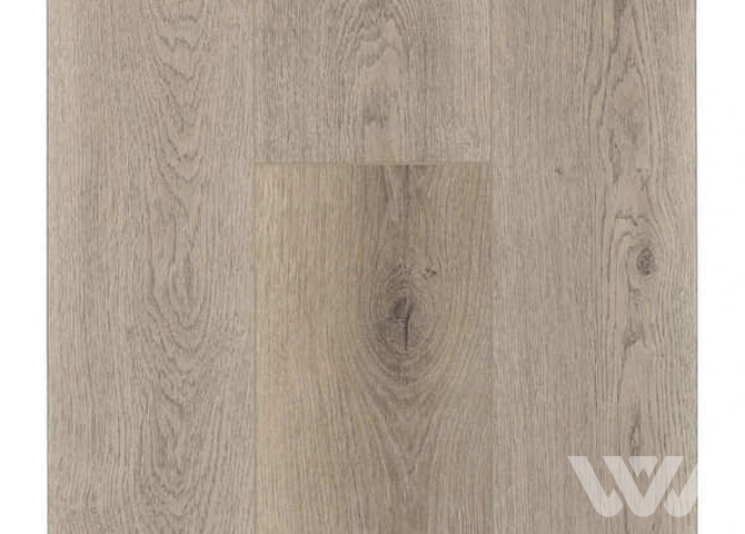 Фото №1 - SPC-ламинат Firstfloor Сибирский натуральный дуб 1F029