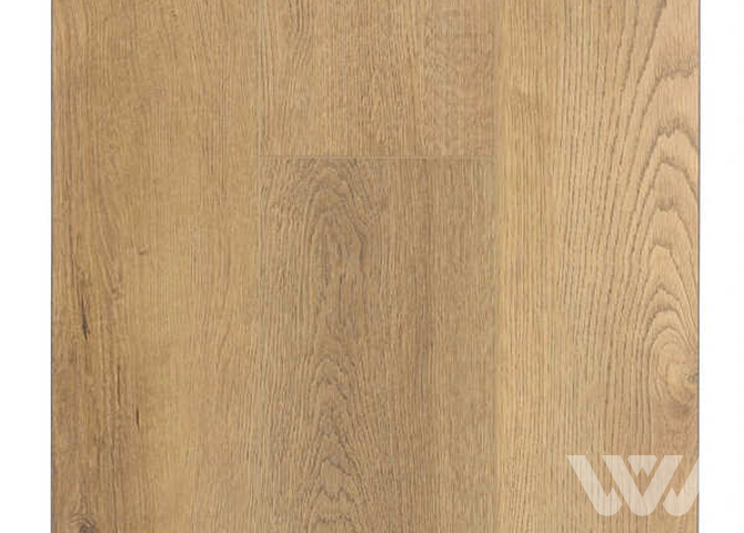 Фото №1 - SPC-ламинат Firstfloor Сербский натуральный дуб 1F030