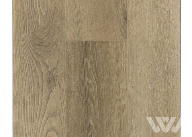 Фото №1 - SPC-ламинат Firstfloor Русский натуральный дуб 1F031