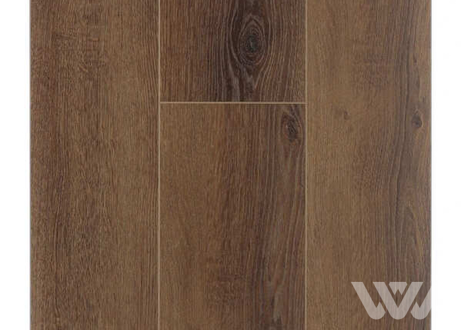 Фото №1 - SPC-ламинат Firstfloor Африканский натуральный дуб 1F032