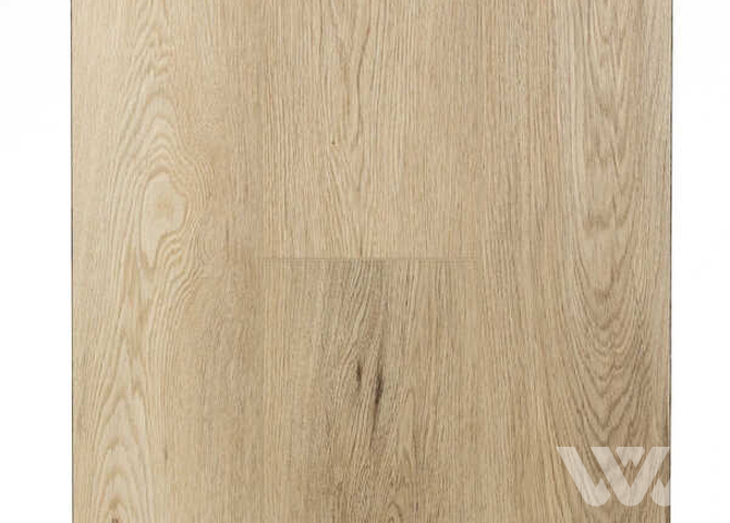 Фото №1 - SPC-ламинат Firstfloor Простой серый дуб 1F034