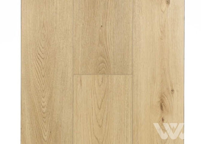 Фото №1 - SPC-ламинат Firstfloor Простой светлый дуб 1F035