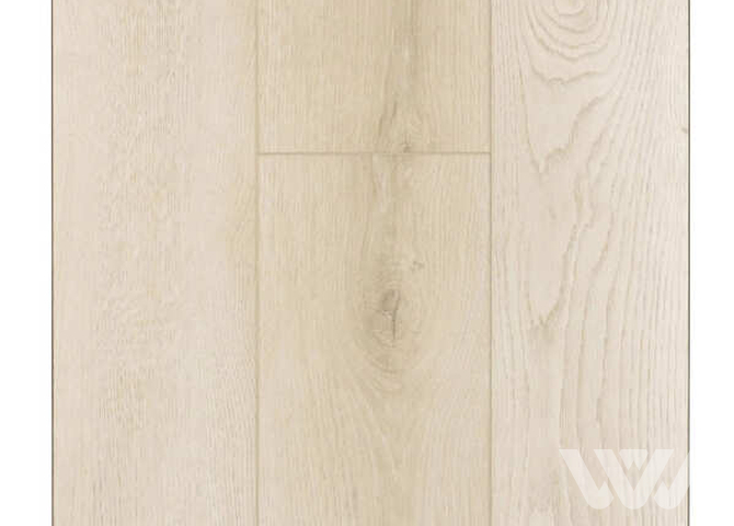 Фото №1 - SPC-ламинат Firstfloor Европейский натуральный дуб 1F037