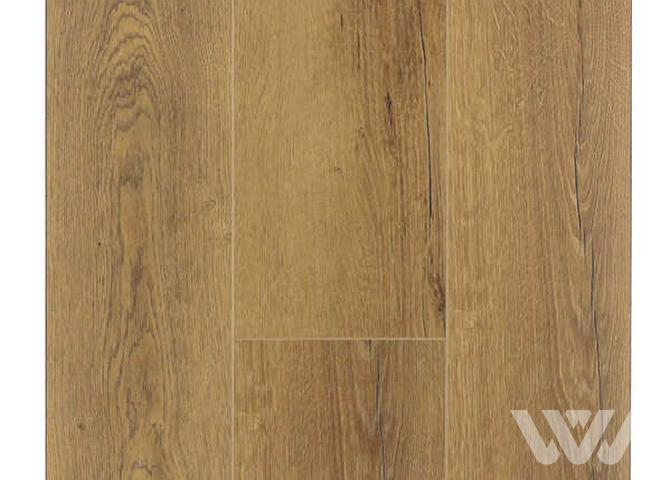 Фото №1 - SPC-ламинат Firstfloor Медовый натуральный дуб 1F040