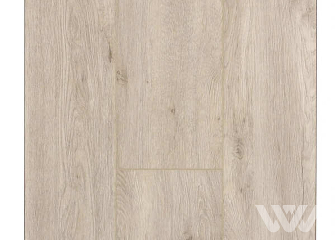 Фото №1 - SPC-ламинат Firstfloor Ледяной дуб скетч 1F043