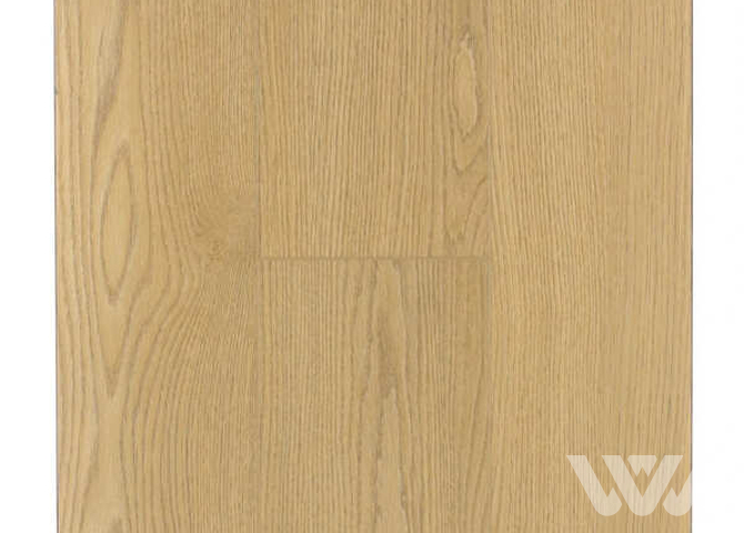 Фото №1 - SPC-ламинат Firstfloor Отборный желтый дуб 1F052