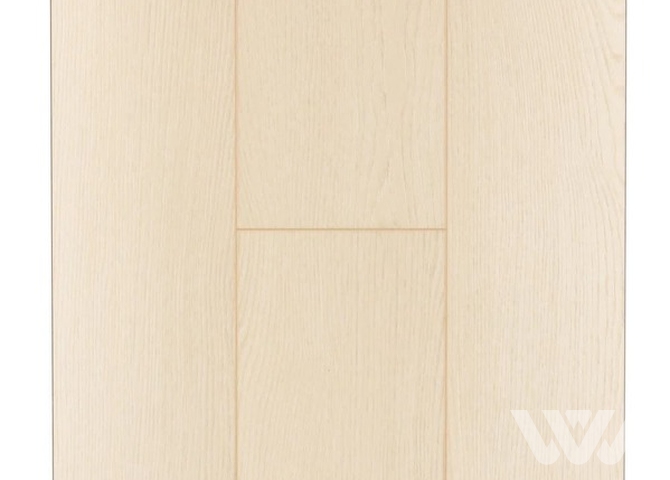 Фото №1 - SPC-ламинат Firstfloor Отборный белый дуб 1F053